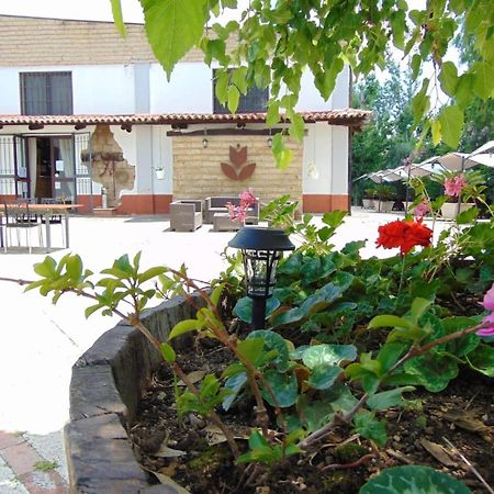 Casale Rurale Bed & Breakfast San Marco Evangelista Eksteriør bilde