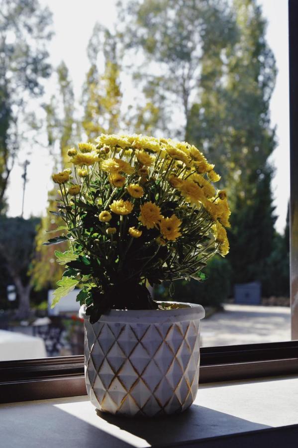 Casale Rurale Bed & Breakfast San Marco Evangelista Eksteriør bilde